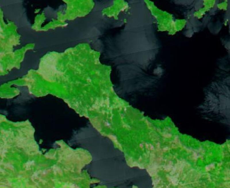 Satellite image of Northern Evia, Greece on 29 Jul 2021, before the event, in false colour (MODIS bands 7-2-1).