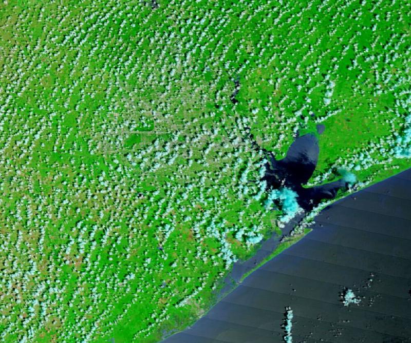 Satellite image of Houston and the Texas coast around Galveston Bay, United States on 18 Aug 2017, before the event, in false colour (MODIS bands 7-2-1).