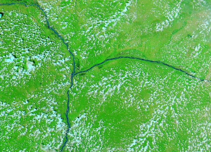 Satellite image of The confluence of the Niger and Benue at Lokoja, Kogi State, Nigeria on 15 Oct 2021, before the event, in false colour (MODIS bands 7-2-1).