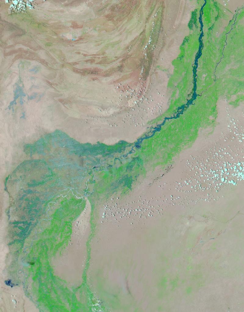 Satellite image of Indus valley in upper Sindh and southern Punjab, around Sukkur and Jacobabad, Pakistan on 18 Jul 2010, before the event, in false colour (MODIS bands 7-2-1).