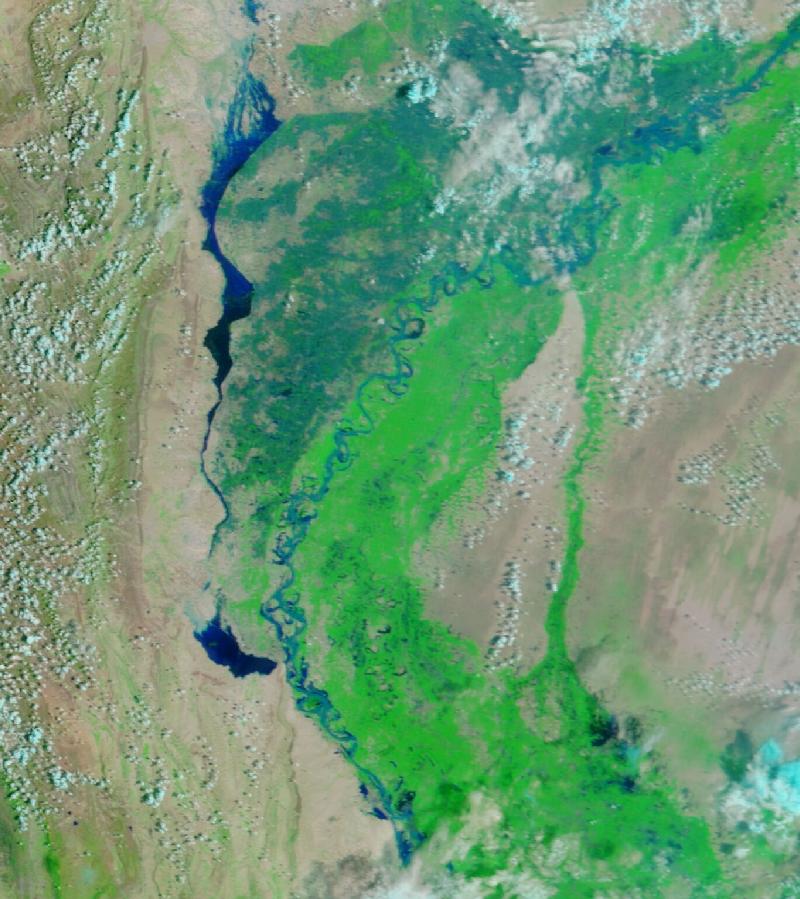 Satellite image of Lower Indus valley, Sindh province, Pakistan on 8 Aug 2022, before the event, in false colour (MODIS bands 7-2-1).