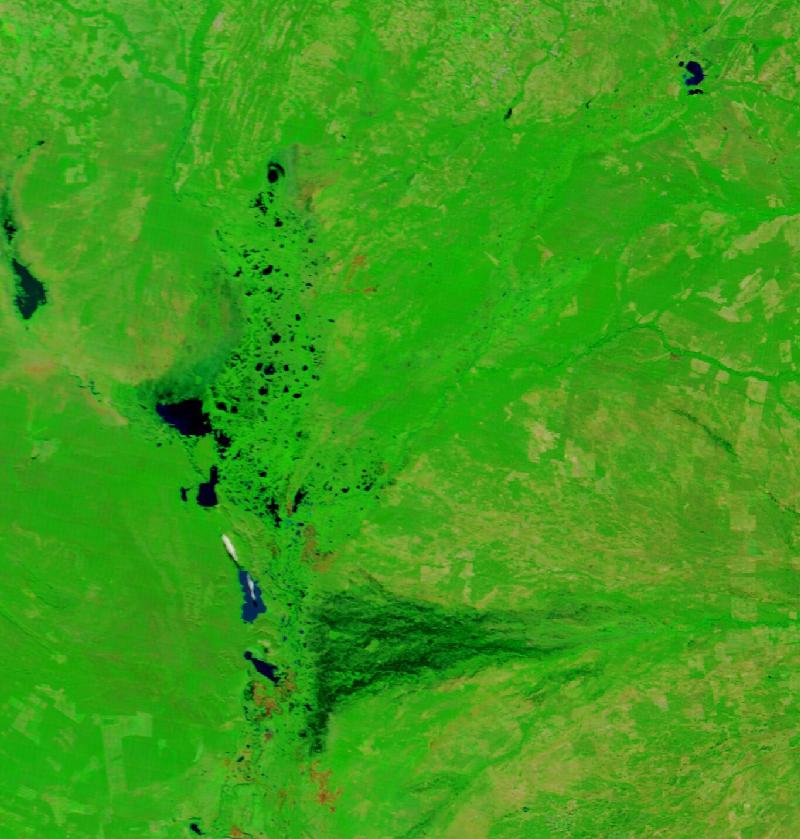 Satellite image of The northern Pantanal, Mato Grosso, Brazil on 20 Jun 2020, before the event, in false colour (MODIS bands 7-2-1).