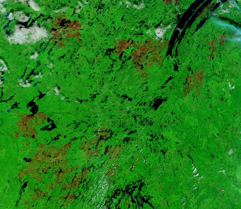 Satellite image of Boreal forest of central Quebec, south-west of Lake Mistassini, Canada on 5 Sep 2023, after the event.