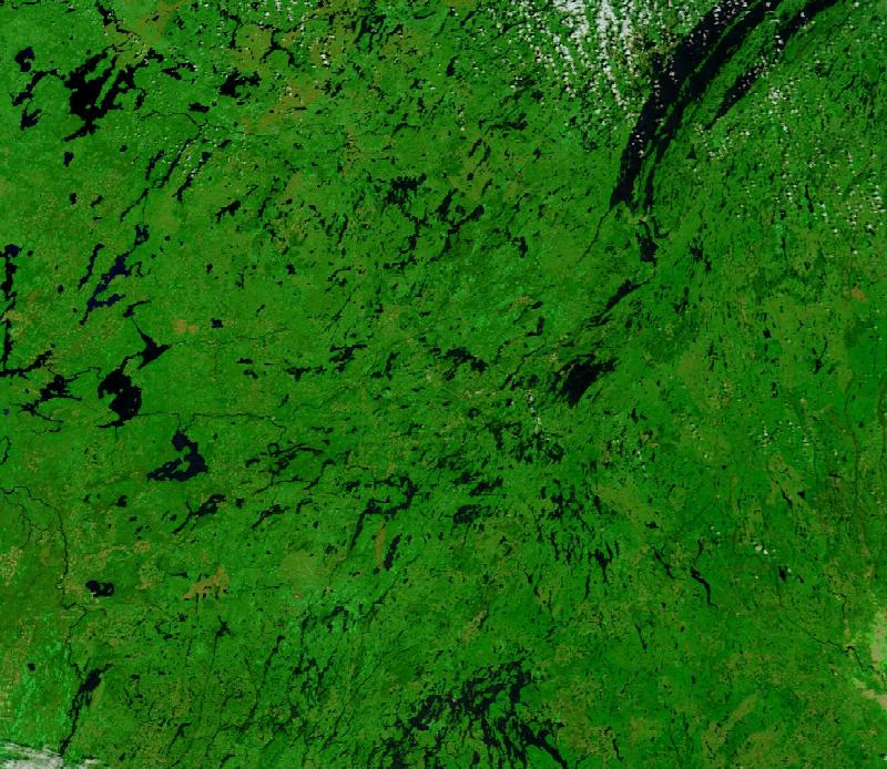 Satellite image of Boreal forest of central Quebec, south-west of Lake Mistassini, Canada on 28 May 2023, before the event, in false colour (MODIS bands 7-2-1).