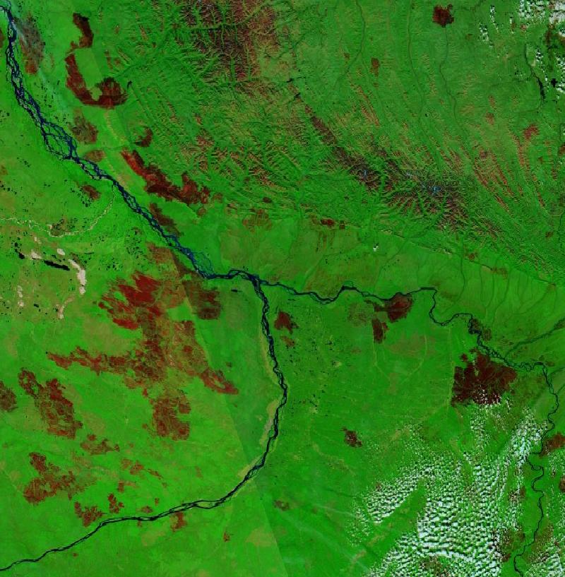Satellite image of The larch forests around Yakutsk and the Lena River, Republic of Sakha, Russia on 1 Sep 2021, after the event.