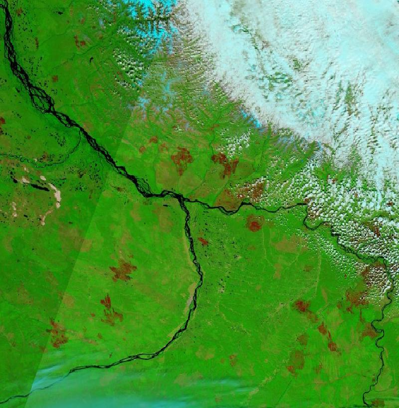 Satellite image of The larch forests around Yakutsk and the Lena River, Republic of Sakha, Russia on 10 Jun 2021, before the event, in false colour (MODIS bands 7-2-1).