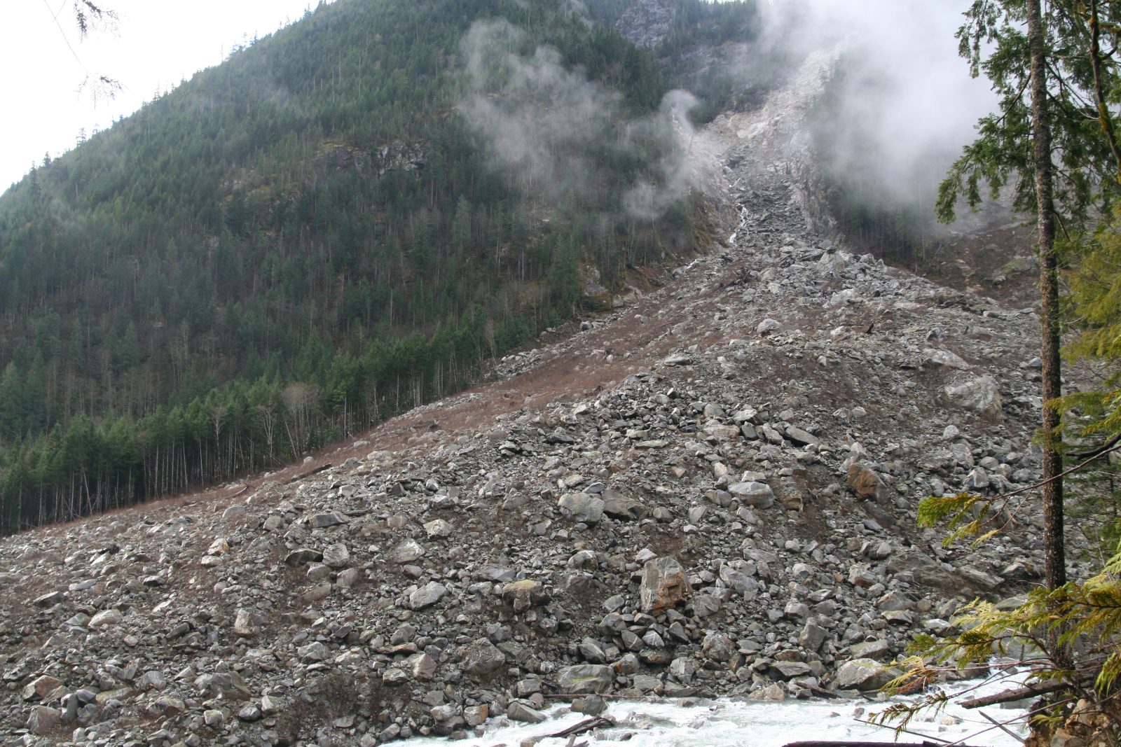 The scar of the Goodell Creek debris avalanche on a forested mountainside
