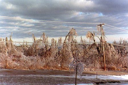 Tree damage and thick ice on electrical wires from the 1998 ice storm