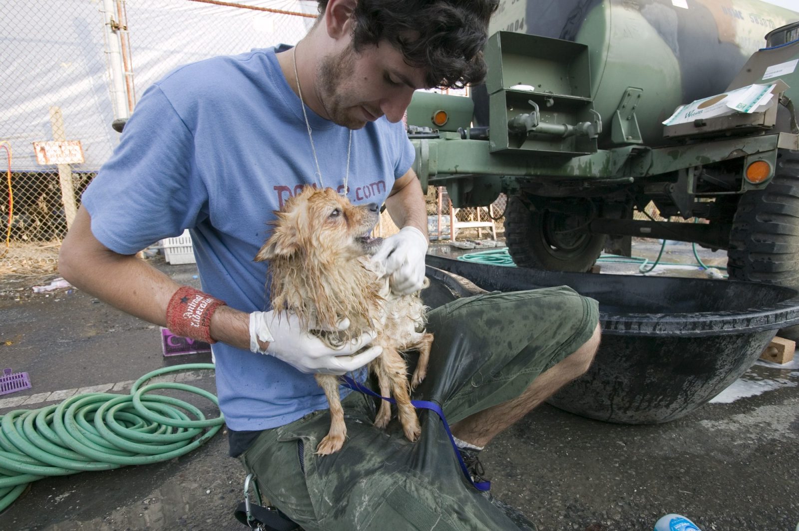 A volunteer washing a rescued dog in a tub in New Orleans, Louisiana, after Hurricane Katrina in September 2005